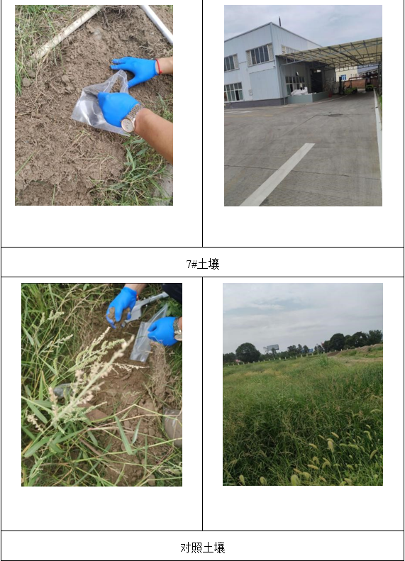&#29233;&#28216;&#25103;&#20307;&#32946;&#40;&#20013;&#22269;&#41;&#20307;&#32946;&#23448;&#26041;&#32593;&#31449;